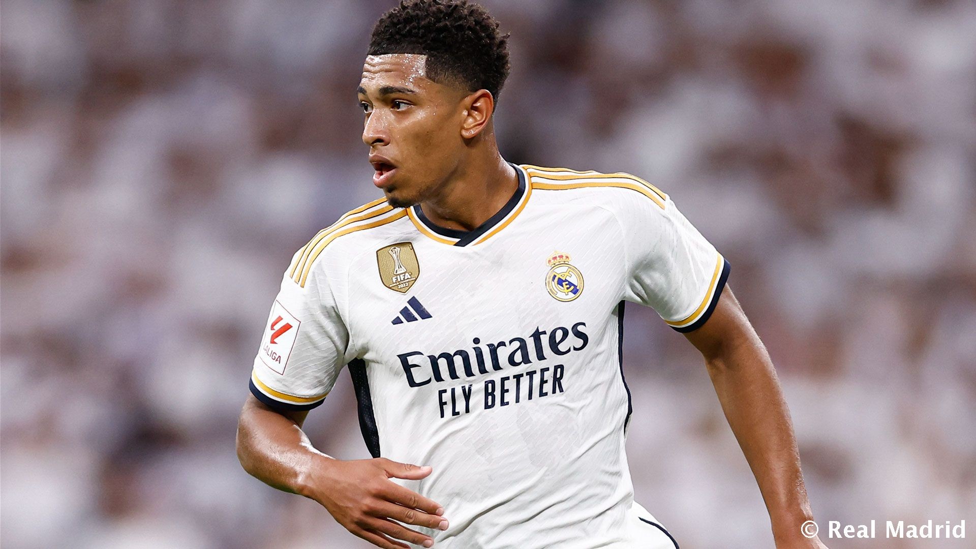 中超联赛11月最佳阵容出炉：法比奥、吴曦、王燊超领衔（中超11月最佳阵容揭晓：法比奥、吴曦、王燊超领衔）